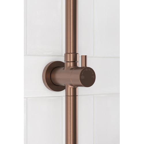 Clovelly Bronze Gooseneck Twin Shower