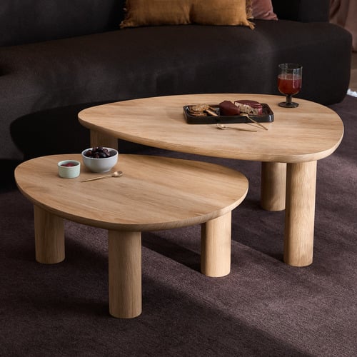 2 Piece Nolan Nesting Coffee Table Set