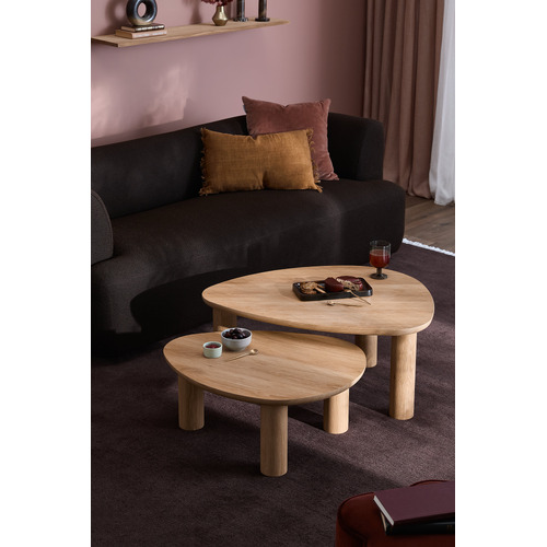 2 Piece Nolan Nesting Coffee Table Set