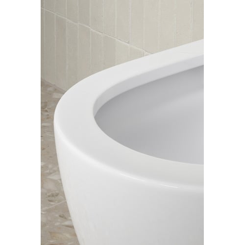 Delta Rounded Back to Wall Toilet Suite