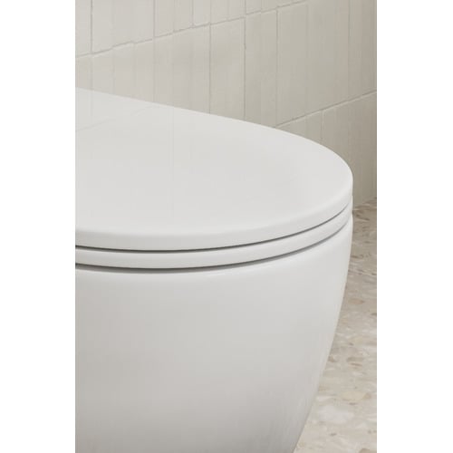 Delta Rounded Back to Wall Toilet Suite
