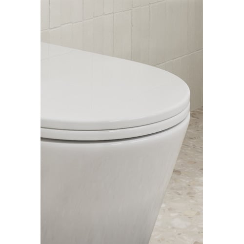 Delta Rounded Back to Wall Toilet Suite