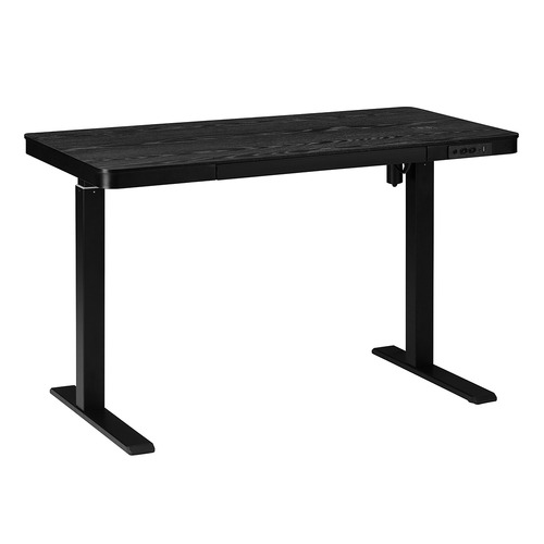 Leo Electric Sit & Stand Desk