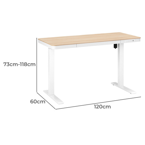 Leo Electric Sit & Stand Desk