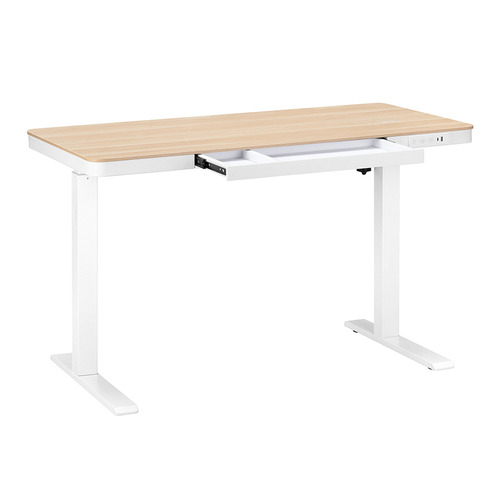 Leo Electric Sit & Stand Desk