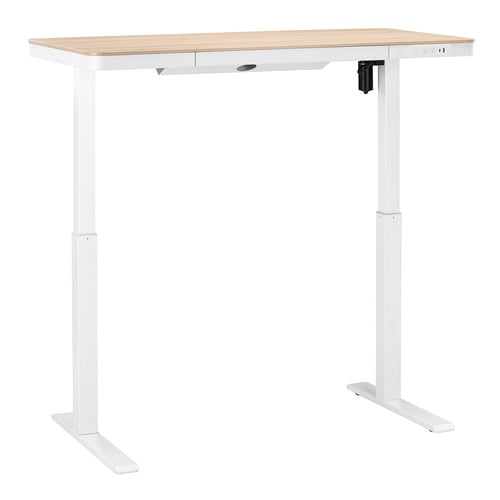 Leo Electric Sit & Stand Desk