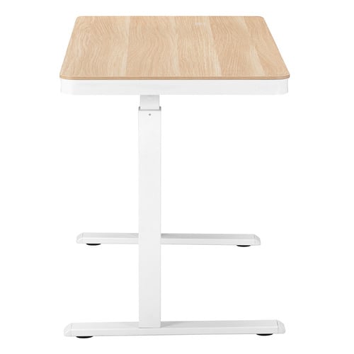 Leo Electric Sit & Stand Desk