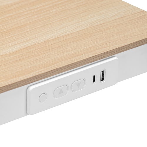 Leo Electric Sit & Stand Desk