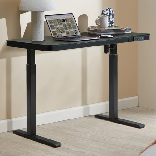 Leo Sit & Stand Desk with Wireless Charging
