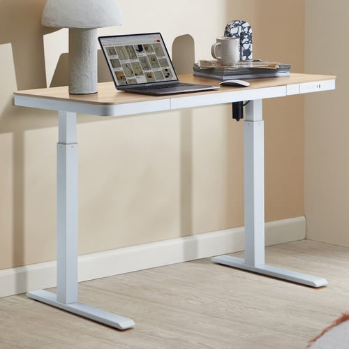 Leo Sit & Stand Desk with Wireless Charging