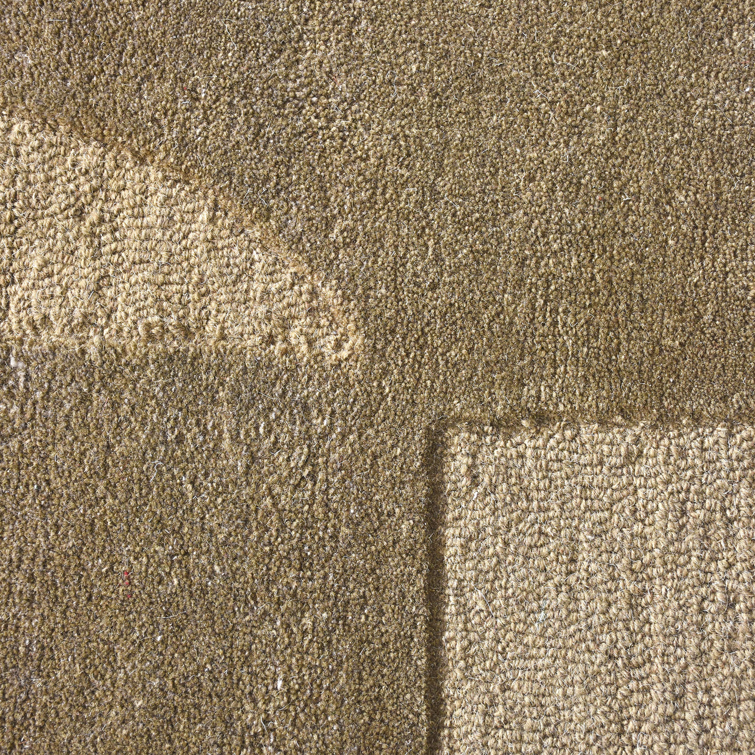 Lucy Hand-Tufted Wool Rug