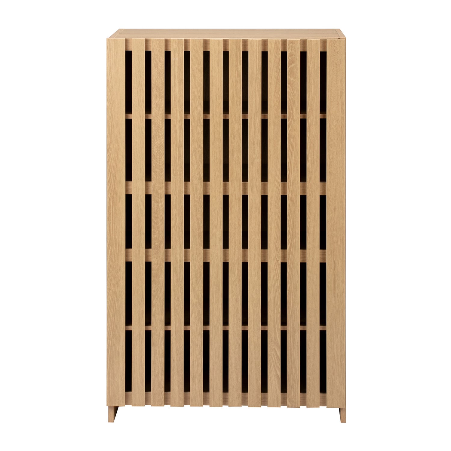 Shania Shoe Cabinet