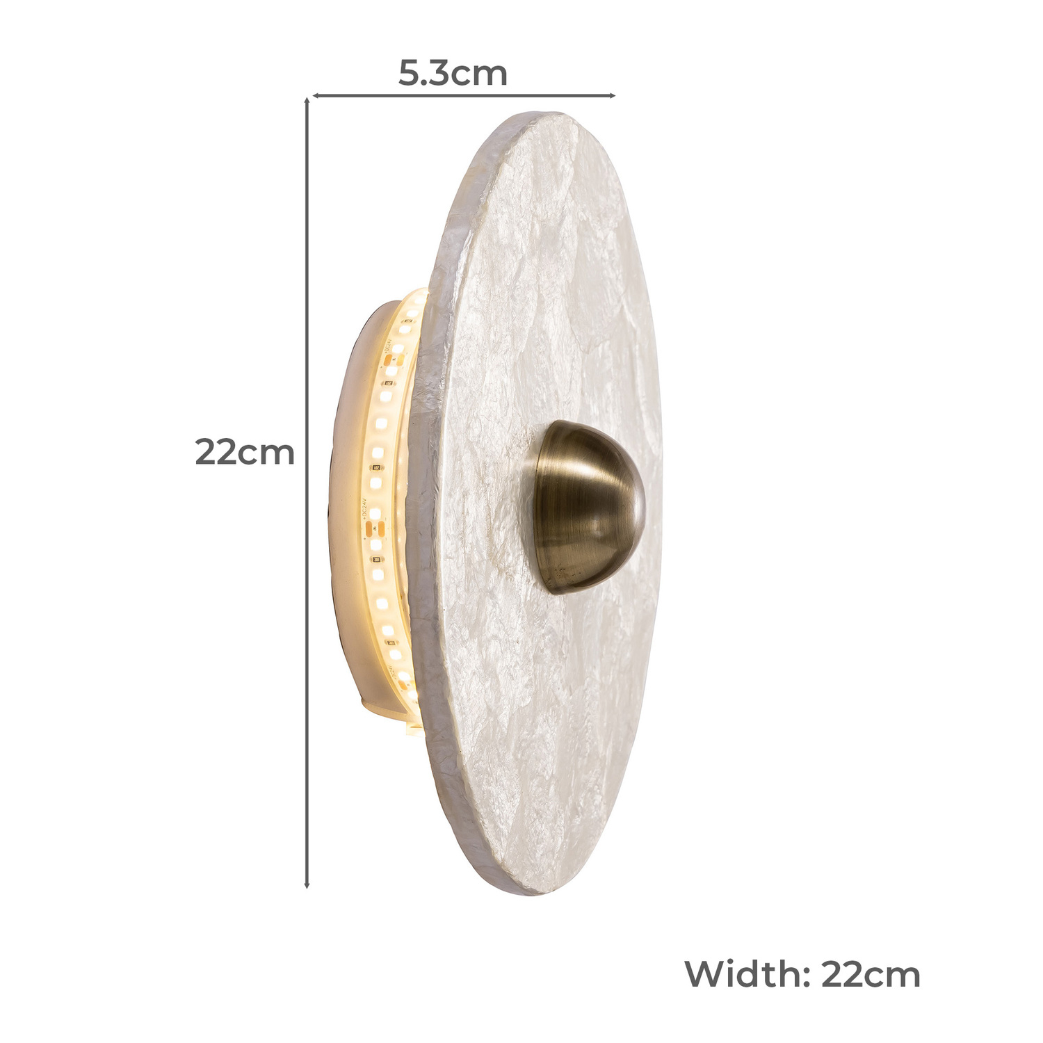 Hector Capiz Shell LED Wall Sconce