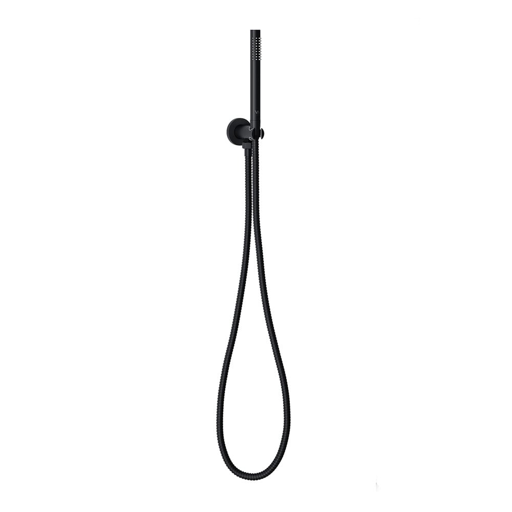 Carson Brass Hand-held Shower