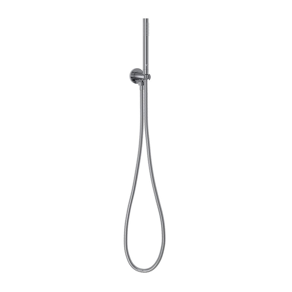 Carson Brass Hand-held Shower