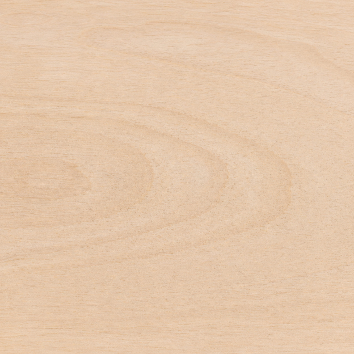 Arielle Mango Wood Dining Bench