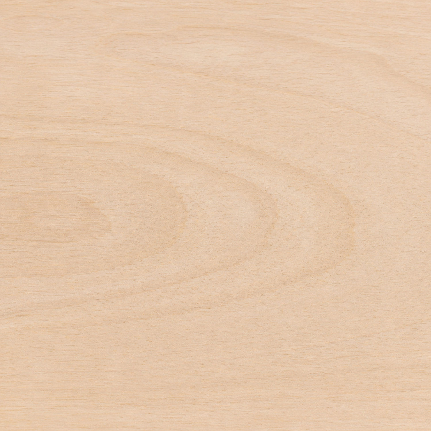 Arielle Mango Wood Dining Bench