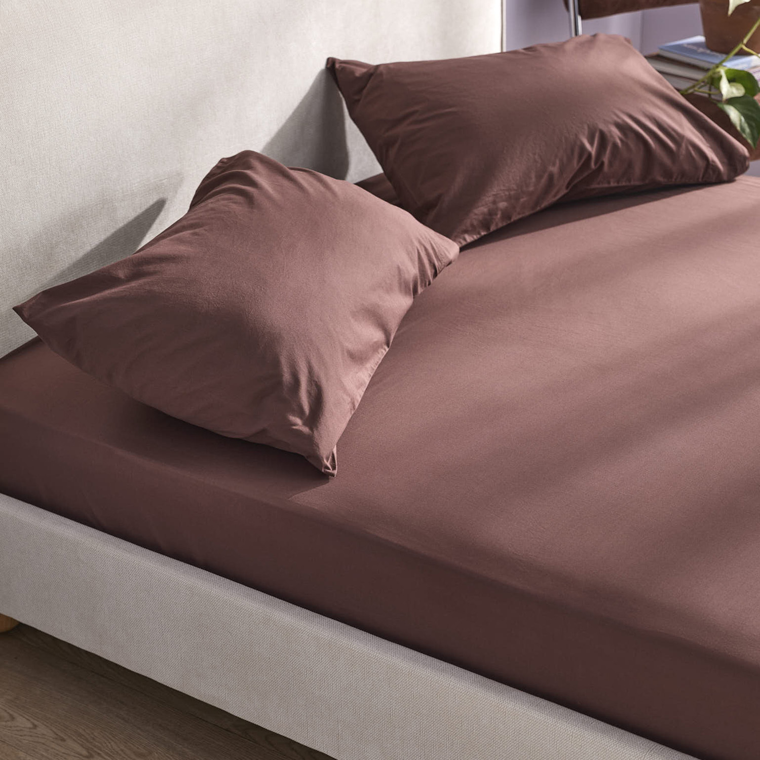 Juno Australian Cotton Fitted Sheet Set