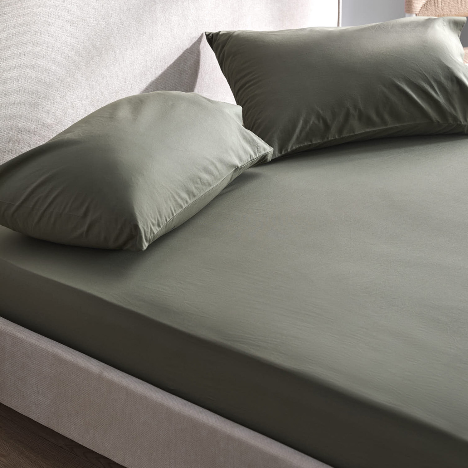 Juno Australian Cotton Fitted Sheet Set