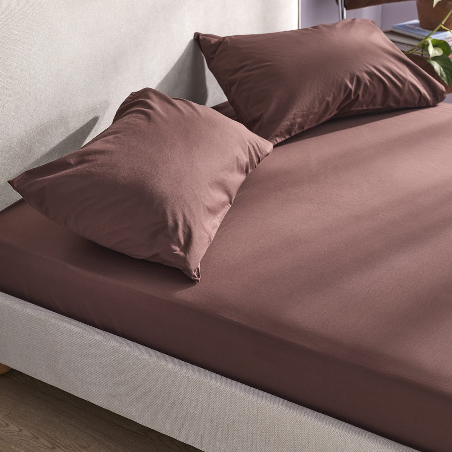 Juno Australian Cotton Sheet Set