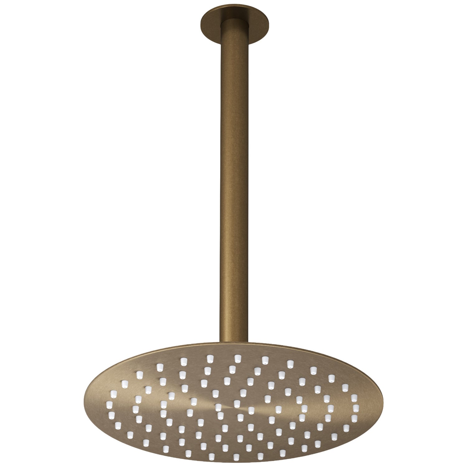 Clovelly 250mm Shower Head