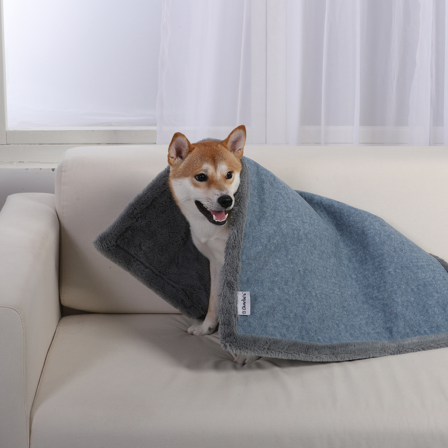 Blue & Grey Trim Reversible Faux Fur Pet Winter Rug & Blanket