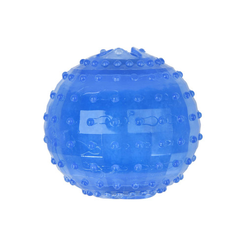 Blue Freezy Ball Dog Toy | Temple & Webster