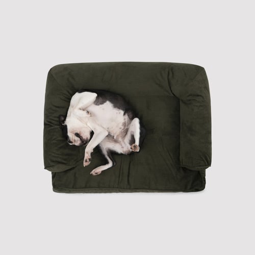 Corduroy-Dog-Sofa-Bed