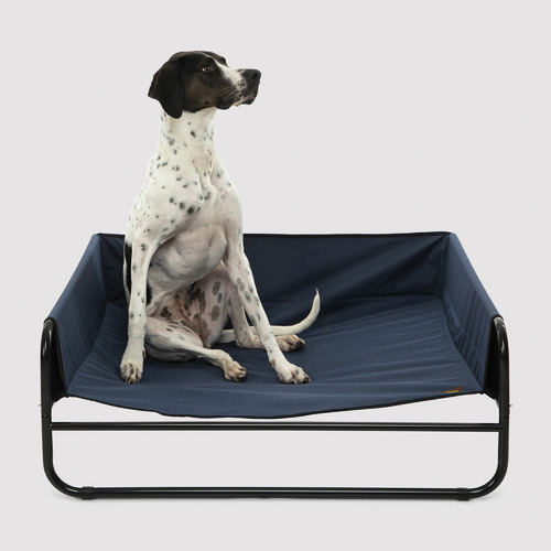 Dog trampoline shop bed big w