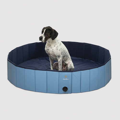 Portable dog hot sale pool