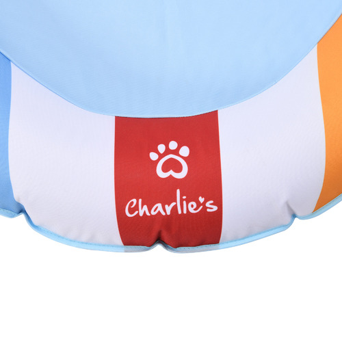 Beach Ball Pet Pool Float