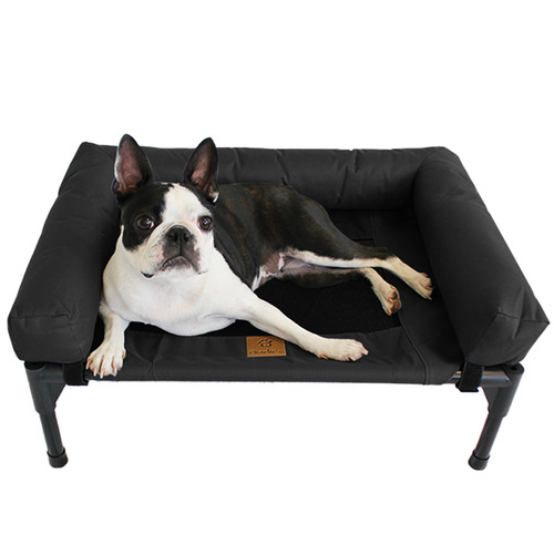 Elevated-Trampoline-Bolster-Dog-Sofa-Bed