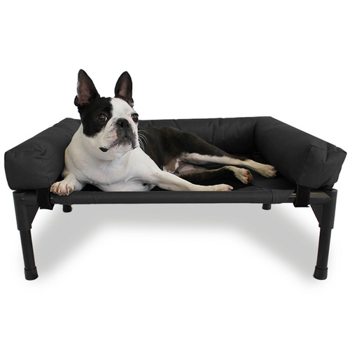 Elevated-Trampoline-Bolster-Dog-Sofa-Bed