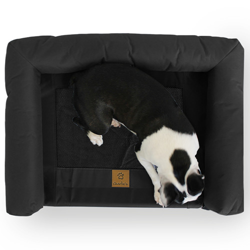 Elevated-Trampoline-Bolster-Dog-Sofa-Bed