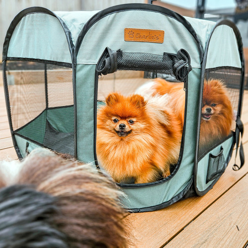 Charlies-Foldable-Pet-Playpen