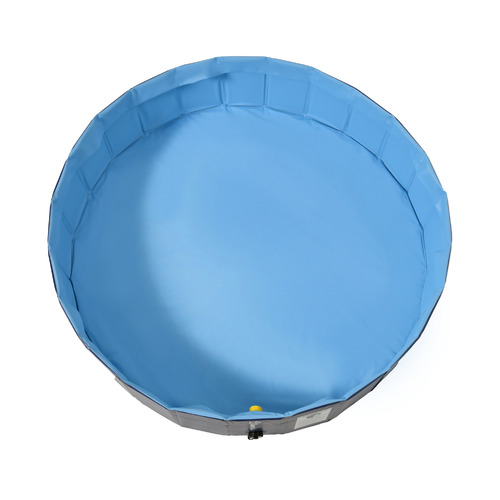 Splash Society Foldable Sprinkler Pet Pool