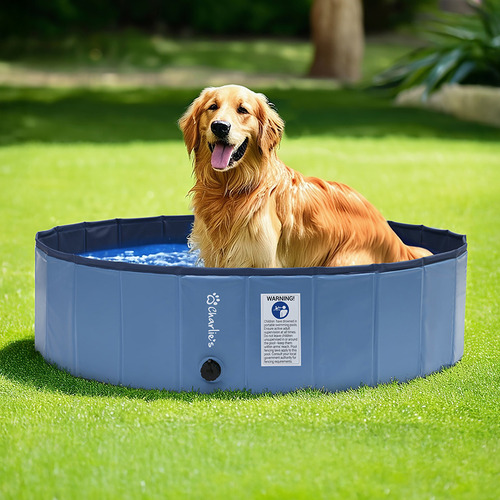 Splash Society Foldable Pet Pool