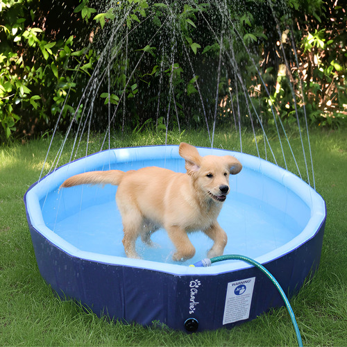 Splash Society Foldable Sprinkler Pet Pool