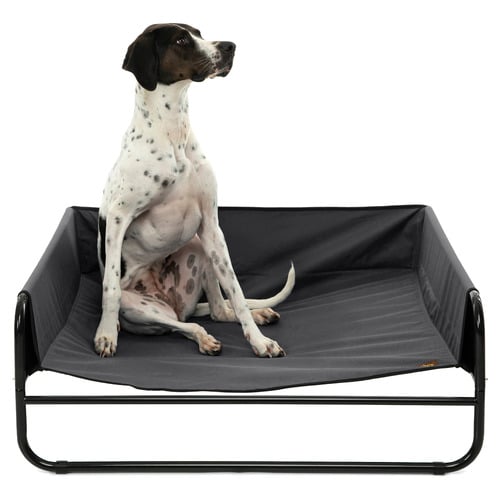 High Walled Outdoor Trampoline Dog Bed