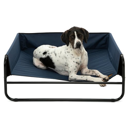 High Walled Outdoor Trampoline Dog Bed