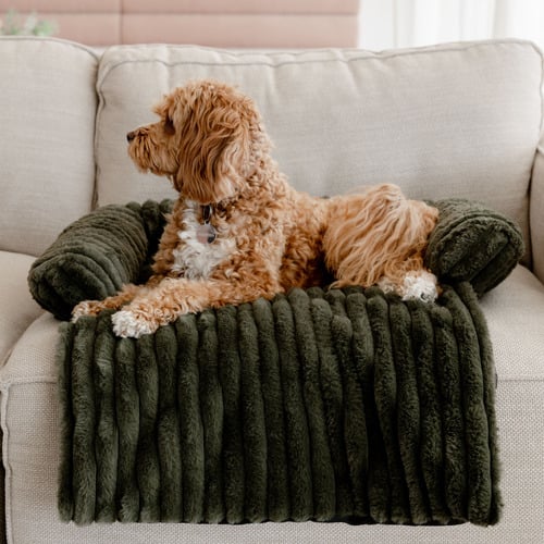 Cloud Bolster Pet Sofa Cover