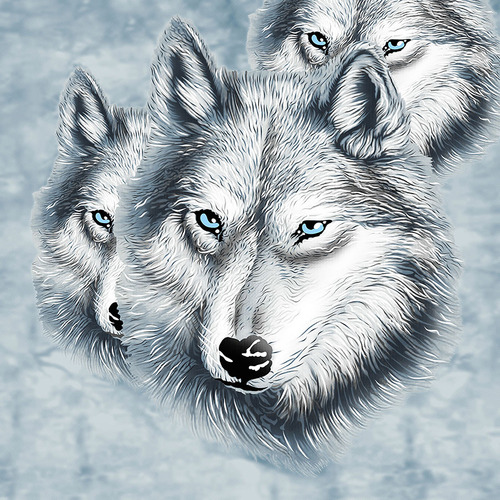 Artic Wolf Super Soft Mink Blanket