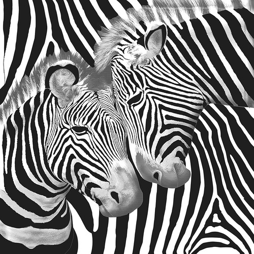 Zebra Super Soft Heavy Weight Mink Blanket