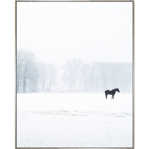 Winter Lone Horse Framed Canvas Wall Art Temple Webster