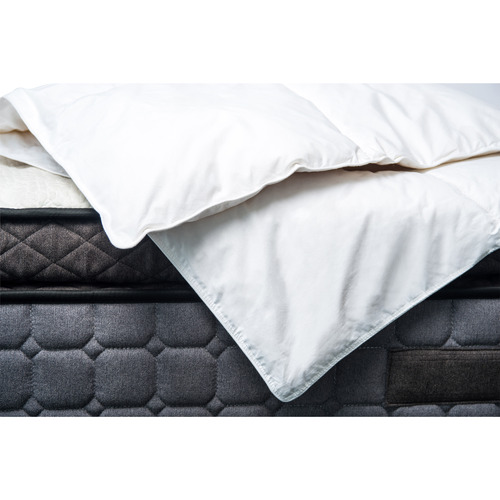 Radisson Home Australian Wool Winter Quilt Temple & Webster
