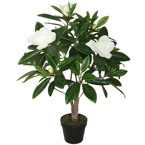 HighST. 92cm Potted Faux Magnolia Plant Temple & ster