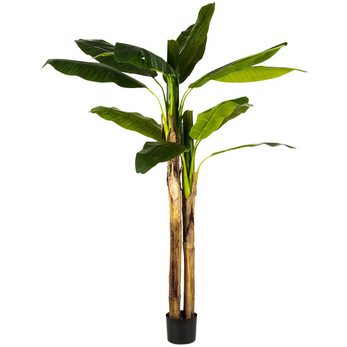 HighST. 200cm Potted Faux Banana Tree & Reviews | Temple & Webster