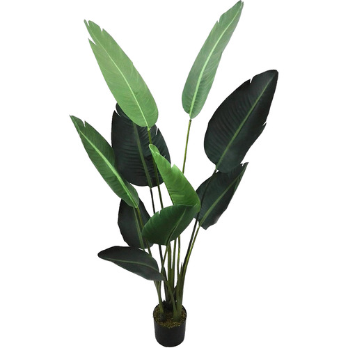 High St. 150cm Potted Faux Strelitzia Plant | Temple & Webster