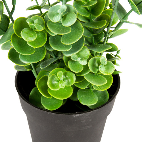 Potted Faux Eucalyptus Plant