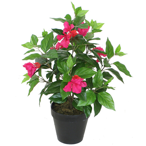 HighST. 55cm Potted Faux Bougainvillea Plant | Temple & Webster